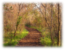 Serene Pathways Counseling